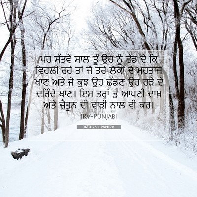 Picture 07 - ਖ਼ਰੋਜ 23:11 PANIRV - ਪਰ ਸੱਤਵੇਂ ਸਾਲ ਤੂੰ - Bible Verse Picture