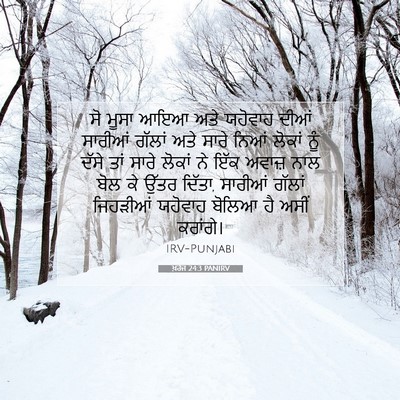 Picture 07 - ਖ਼ਰੋਜ 24:3 PANIRV - ਸੋ ਮੂਸਾ ਆਇਆ ਅਤੇ - Bible Verse Picture
