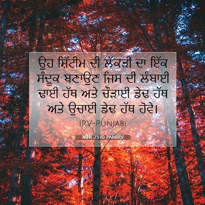 Picture 07 - ਖ਼ਰੋਜ 25:10 PANIRV - ਉਹ ਸ਼ਿੱਟੀਮ ਦੀ - Bible Verse Picture