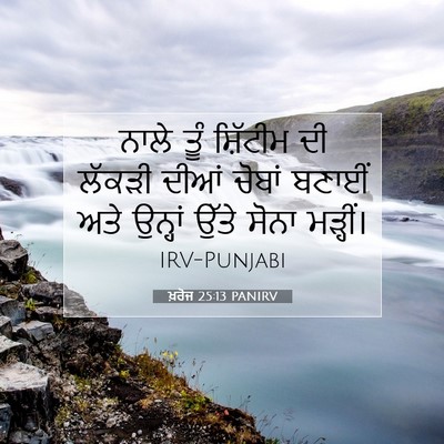 Picture 07 - ਖ਼ਰੋਜ 25:13 PANIRV - ਨਾਲੇ ਤੂੰ ਸ਼ਿੱਟੀਮ - Bible Verse Picture