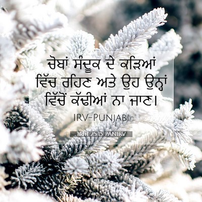 Picture 07 - ਖ਼ਰੋਜ 25:15 PANIRV - ਚੋਬਾਂ ਸੰਦੂਕ ਦੇ - Bible Verse Picture