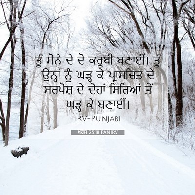 Picture 07 - ਖ਼ਰੋਜ 25:18 PANIRV - ਤੂੰ ਸੋਨੇ ਦੇ ਦੋ - Bible Verse Picture