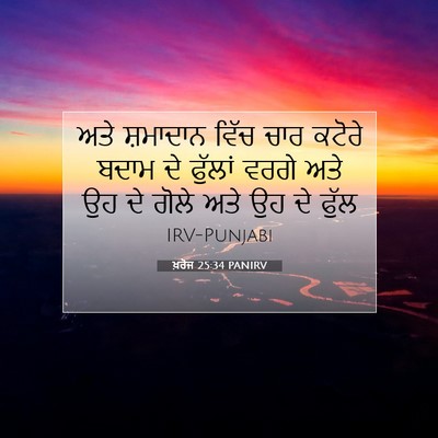 Picture 07 - ਖ਼ਰੋਜ 25:34 PANIRV - ਅਤੇ ਸ਼ਮਾਦਾਨ ਵਿੱਚ - Bible Verse Picture