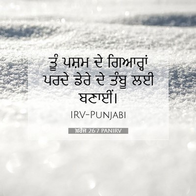 Picture 07 - ਖ਼ਰੋਜ 26:7 PANIRV - ਤੂੰ ਪਸ਼ਮ ਦੇ - Bible Verse Picture