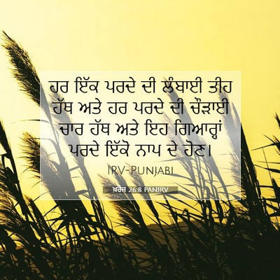 Picture 07 - ਖ਼ਰੋਜ 26:8 PANIRV - ਹਰ ਇੱਕ ਪਰਦੇ ਦੀ - Bible Verse Picture
