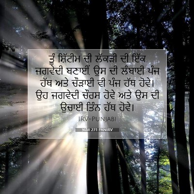 Picture 07 - ਖ਼ਰੋਜ 27:1 PANIRV - ਤੂੰ ਸ਼ਿੱਟੀਮ ਦੀ - Bible Verse Picture