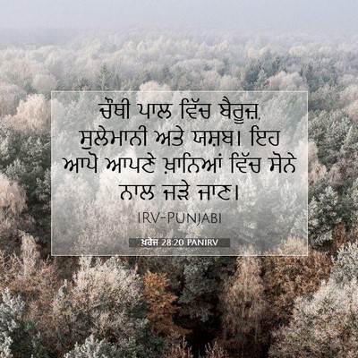Picture 07 - ਖ਼ਰੋਜ 28:20 PANIRV - ਚੌਥੀ ਪਾਲ ਵਿੱਚ - Bible Verse Picture