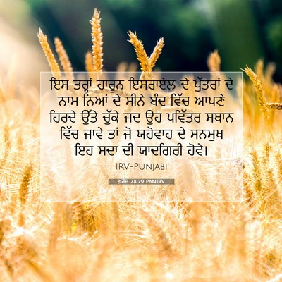 Picture 07 - ਖ਼ਰੋਜ 28:29 PANIRV - ਇਸ ਤਰ੍ਹਾਂ ਹਾਰੂਨ - Bible Verse Picture