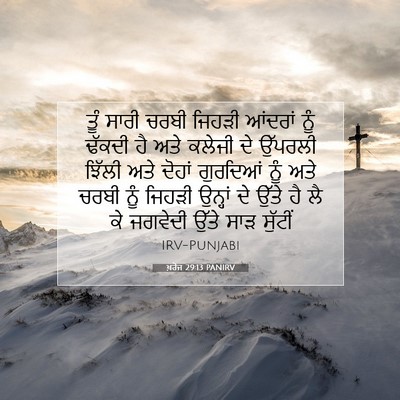 Picture 07 - ਖ਼ਰੋਜ 29:13 PANIRV - ਤੂੰ ਸਾਰੀ ਚਰਬੀ - Bible Verse Picture