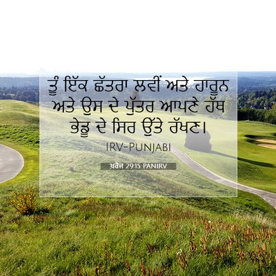 Picture 07 - ਖ਼ਰੋਜ 29:15 PANIRV - ਤੂੰ ਇੱਕ ਛੱਤਰਾ ਲਵੀਂ - Bible Verse Picture