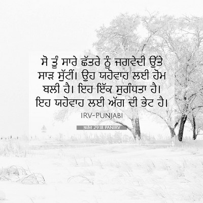 Picture 07 - ਖ਼ਰੋਜ 29:18 PANIRV - ਸੋ ਤੂੰ ਸਾਰੇ ਛੱਤਰੇ - Bible Verse Picture