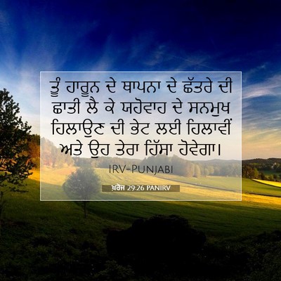 Picture 07 - ਖ਼ਰੋਜ 29:26 PANIRV - ਤੂੰ ਹਾਰੂਨ ਦੇ ਥਾਪਨਾ - Bible Verse Picture