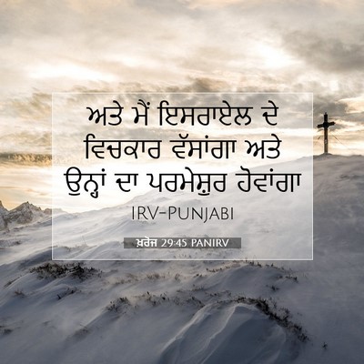 Picture 07 - ਖ਼ਰੋਜ 29:45 PANIRV - ਅਤੇ ਮੈਂ ਇਸਰਾਏਲ ਦੇ - Bible Verse Picture