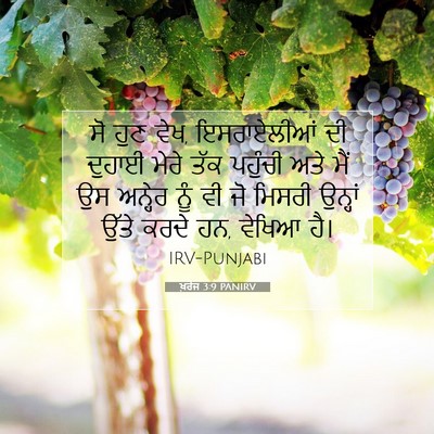 Picture 07 - ਖ਼ਰੋਜ 3:9 PANIRV - ਸੋ ਹੁਣ ਵੇਖ, - Bible Verse Picture