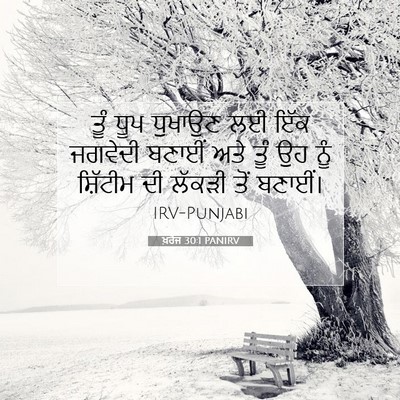 Picture 07 - ਖ਼ਰੋਜ 30:1 PANIRV - ਤੂੰ ਧੂਪ ਧੁਖਾਉਣ ਲਈ - Bible Verse Picture
