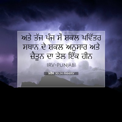 Picture 07 - ਖ਼ਰੋਜ 30:24 PANIRV - ਅਤੇ ਤੱਜ ਪੰਜ ਸੌ ਸ਼ਕਲ - Bible Verse Picture