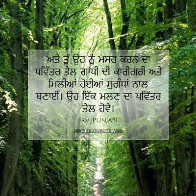 Picture 07 - ਖ਼ਰੋਜ 30:25 PANIRV - ਅਤੇ ਤੂੰ ਉਹ ਨੂੰ ਮਸਹ - Bible Verse Picture