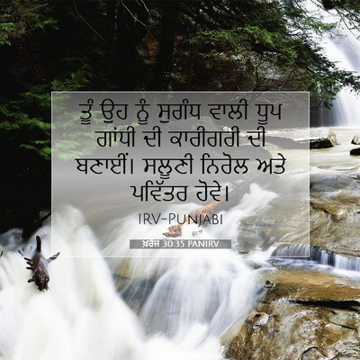 Picture 07 - ਖ਼ਰੋਜ 30:35 PANIRV - ਤੂੰ ਉਹ ਨੂੰ ਸੁਗੰਧ - Bible Verse Picture