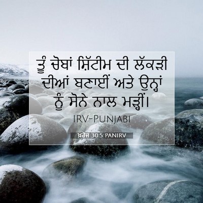 Picture 07 - ਖ਼ਰੋਜ 30:5 PANIRV - ਤੂੰ ਚੋਬਾਂ ਸ਼ਿੱਟੀਮ - Bible Verse Picture