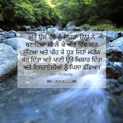 Picture 07 - ਖ਼ਰੋਜ 32:20 PANIRV - ਅਤੇ ਉਸ ਵੱਛੇ ਨੂੰ - Bible Verse Picture