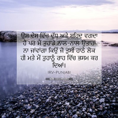 Picture 07 - ਖ਼ਰੋਜ 33:3 PANIRV - ਉਸ ਦੇਸ ਵਿੱਚ ਦੁੱਧ - Bible Verse Picture