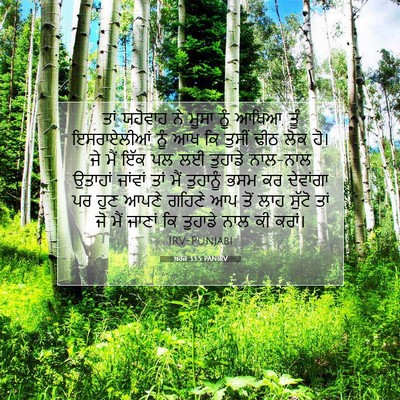 Picture 07 - ਖ਼ਰੋਜ 33:5 PANIRV - ਤਾਂ ਯਹੋਵਾਹ ਨੇ ਮੂਸਾ - Bible Verse Picture