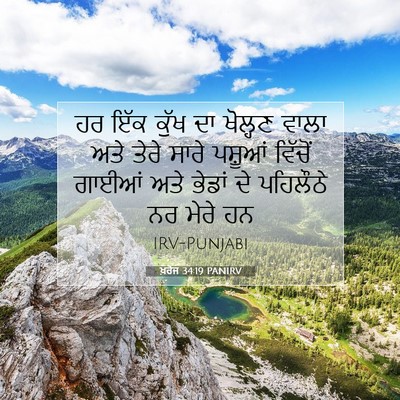 Picture 07 - ਖ਼ਰੋਜ 34:19 PANIRV - ਹਰ ਇੱਕ ਕੁੱਖ ਦਾ - Bible Verse Picture