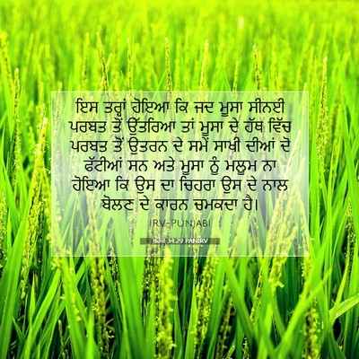 Picture 07 - ਖ਼ਰੋਜ 34:29 PANIRV - ਇਸ ਤਰ੍ਹਾਂ ਹੋਇਆ ਕਿ - Bible Verse Picture