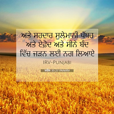 Picture 07 - ਖ਼ਰੋਜ 35:27 PANIRV - ਅਤੇ ਸਰਦਾਰ - Bible Verse Picture