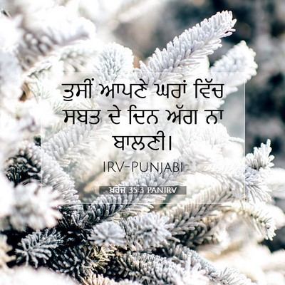 Picture 07 - ਖ਼ਰੋਜ 35:3 PANIRV - ਤੁਸੀਂ ਆਪਣੇ ਘਰਾਂ - Bible Verse Picture