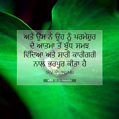 Picture 07 - ਖ਼ਰੋਜ 35:31 PANIRV - ਅਤੇ ਉਸ ਨੇ ਉਹ ਨੂੰ - Bible Verse Picture