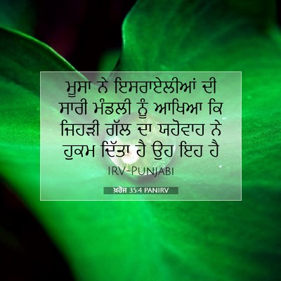 Picture 07 - ਖ਼ਰੋਜ 35:4 PANIRV - ਮੂਸਾ ਨੇ ਇਸਰਾਏਲੀਆਂ - Bible Verse Picture