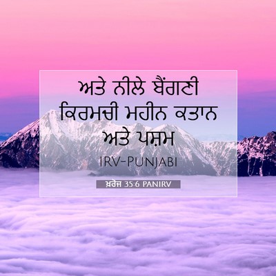 Picture 07 - ਖ਼ਰੋਜ 35:6 PANIRV - ਅਤੇ ਨੀਲੇ ਬੈਂਗਣੀ - Bible Verse Picture