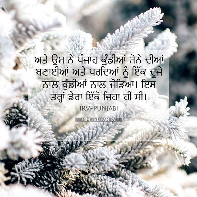 Picture 07 - ਖ਼ਰੋਜ 36:13 PANIRV - ਅਤੇ ਉਸ ਨੇ ਪੰਜਾਹ - Bible Verse Picture