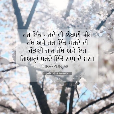 Picture 07 - ਖ਼ਰੋਜ 36:15 PANIRV - ਹਰ ਇੱਕ ਪਰਦੇ ਦੀ - Bible Verse Picture