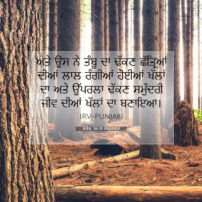 Picture 07 - ਖ਼ਰੋਜ 36:19 PANIRV - ਅਤੇ ਉਸ ਨੇ ਤੰਬੂ ਦਾ - Bible Verse Picture