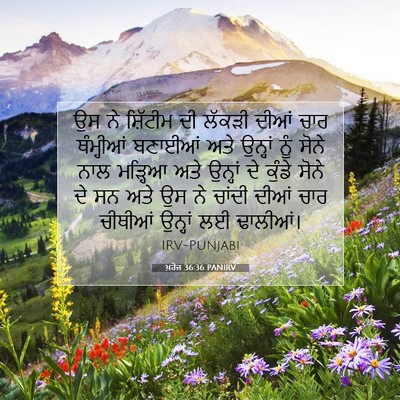 Picture 07 - ਖ਼ਰੋਜ 36:36 PANIRV - ਉਸ ਨੇ ਸ਼ਿੱਟੀਮ ਦੀ - Bible Verse Picture