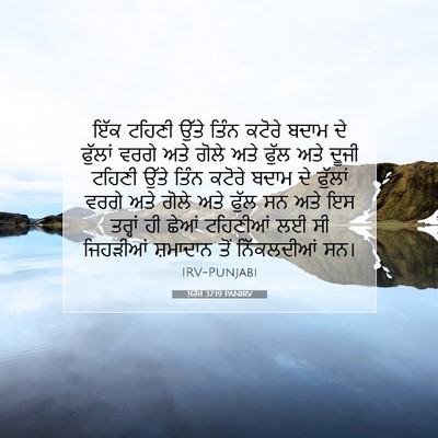 Picture 07 - ਖ਼ਰੋਜ 37:19 PANIRV - ਇੱਕ ਟਹਿਣੀ ਉੱਤੇ - Bible Verse Picture