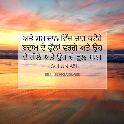 Picture 07 - ਖ਼ਰੋਜ 37:20 PANIRV - ਅਤੇ ਸ਼ਮਾਦਾਨ ਵਿੱਚ - Bible Verse Picture