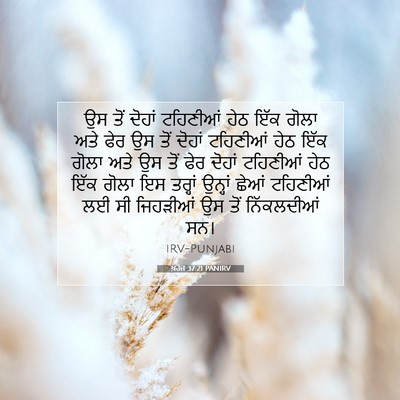 Picture 07 - ਖ਼ਰੋਜ 37:21 PANIRV - ਉਸ ਤੋਂ ਦੋਹਾਂ - Bible Verse Picture