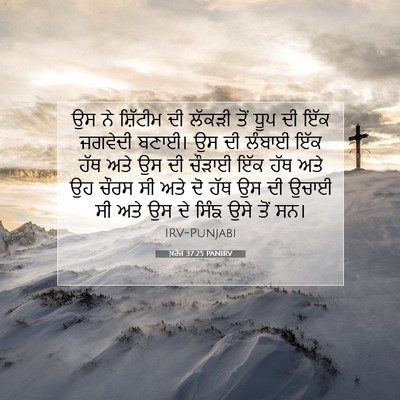 Picture 07 - ਖ਼ਰੋਜ 37:25 PANIRV - ਉਸ ਨੇ ਸ਼ਿੱਟੀਮ ਦੀ - Bible Verse Picture