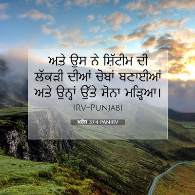 Picture 07 - ਖ਼ਰੋਜ 37:4 PANIRV - ਅਤੇ ਉਸ ਨੇ ਸ਼ਿੱਟੀਮ - Bible Verse Picture