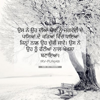 Picture 07 - ਖ਼ਰੋਜ 38:7 PANIRV - ਉਸ ਨੇ ਉਹ ਦੀਆਂ ਚੋਬਾਂ - Bible Verse Picture