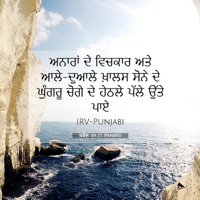 Picture 07 - ਖ਼ਰੋਜ 39:25 PANIRV - ਅਨਾਰਾਂ ਦੇ ਵਿਚਕਾਰ - Bible Verse Picture