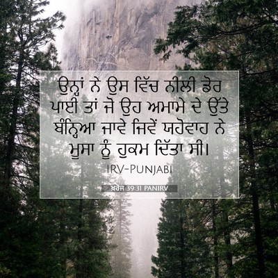 Picture 07 - ਖ਼ਰੋਜ 39:31 PANIRV - ਉਨ੍ਹਾਂ ਨੇ ਉਸ ਵਿੱਚ - Bible Verse Picture