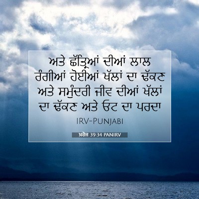 Picture 07 - ਖ਼ਰੋਜ 39:34 PANIRV - ਅਤੇ ਛੱਤ੍ਰਿਆਂ ਦੀਆਂ - Bible Verse Picture