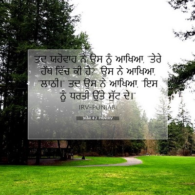 Picture 07 - ਖ਼ਰੋਜ 4:2 PANIRV - ਤਦ ਯਹੋਵਾਹ ਨੇ ਉਸ ਨੂੰ - Bible Verse Picture