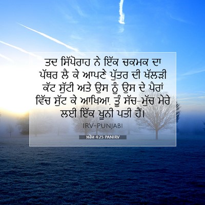 Picture 07 - ਖ਼ਰੋਜ 4:25 PANIRV - ਤਦ ਸਿੱਪੋਰਾਹ ਨੇ ਇੱਕ - Bible Verse Picture