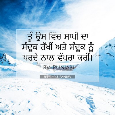 Picture 07 - ਖ਼ਰੋਜ 40:3 PANIRV - ਤੂੰ ਉਸ ਵਿੱਚ ਸਾਖੀ ਦਾ - Bible Verse Picture