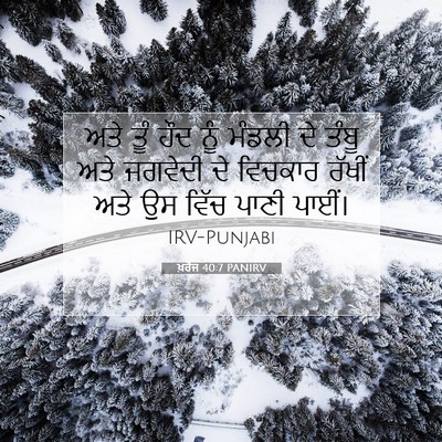 Picture 07 - ਖ਼ਰੋਜ 40:7 PANIRV - ਅਤੇ ਤੂੰ ਹੌਦ ਨੂੰ - Bible Verse Picture